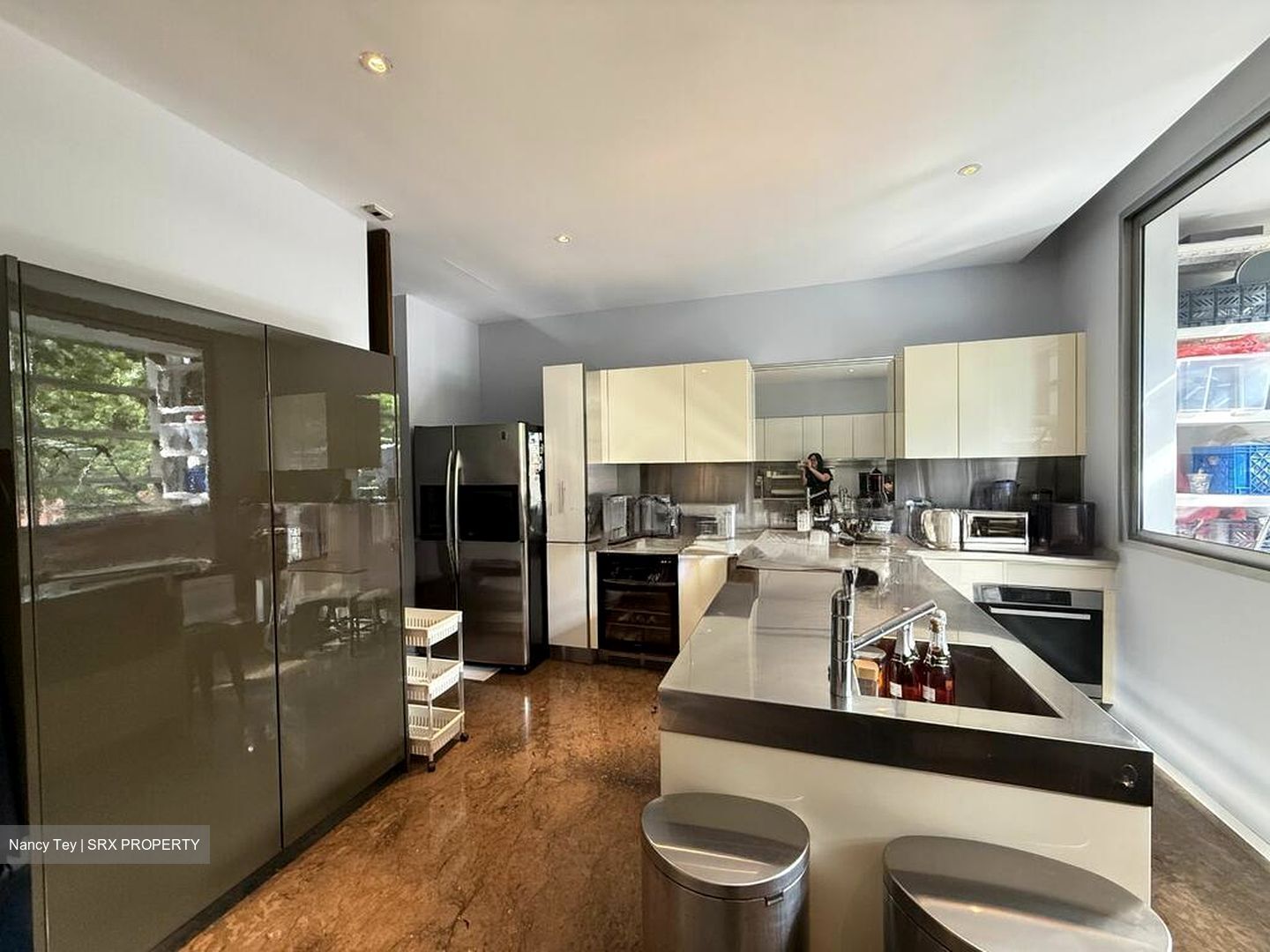 Nassim Park Residences (D10), Condominium #496928371